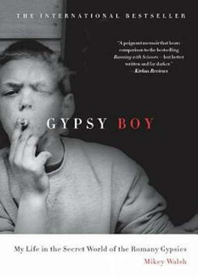 Gypsy Boy: My Life in the Secret World of the Romany Gypsies, Paperback/Mikey Walsh