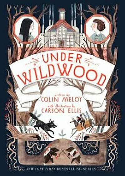 Under Wildwood, Paperback/Colin Meloy