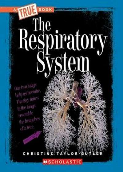 The Respiratory System, Paperback/Christine Taylor-Butler