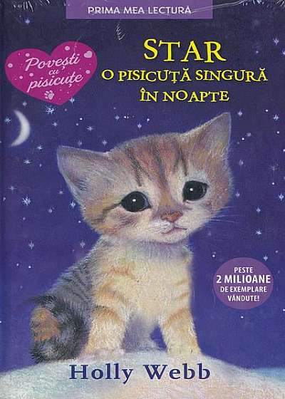 Star, o pisicuță singură în noapte