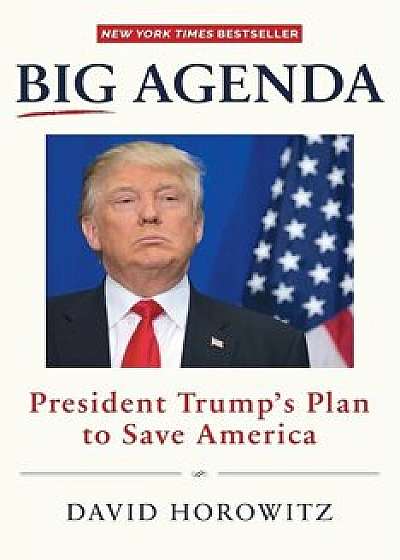 Big Agenda : President Trump's Plan to Save America/David Horowitz