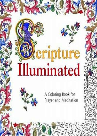 Scripture Illuminated: A Coloring Book for Prayer and Meditation, Paperback/Emmanuelle Remond-Dalyac