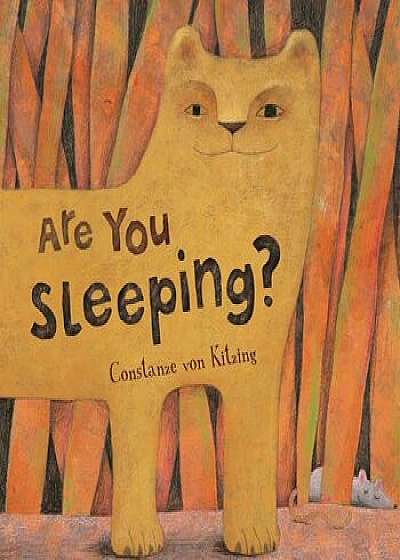 Are You Sleeping, Hardcover/Constanze V. Kitzing