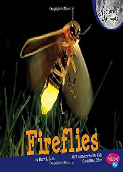 Fireflies, Paperback/Mary R. Dunn