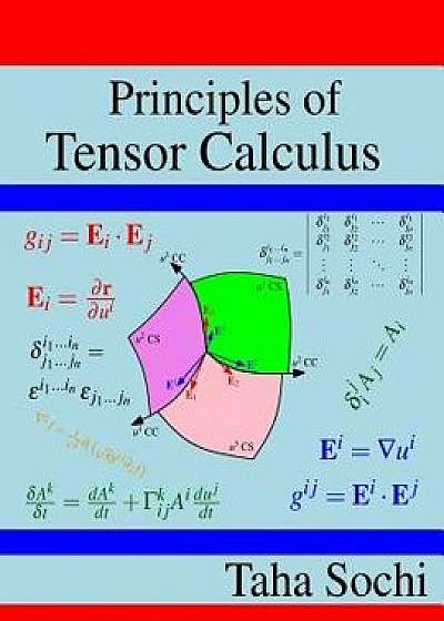 Principles of Tensor Calculus: Tensor Calculus, Paperback/Taha Sochi