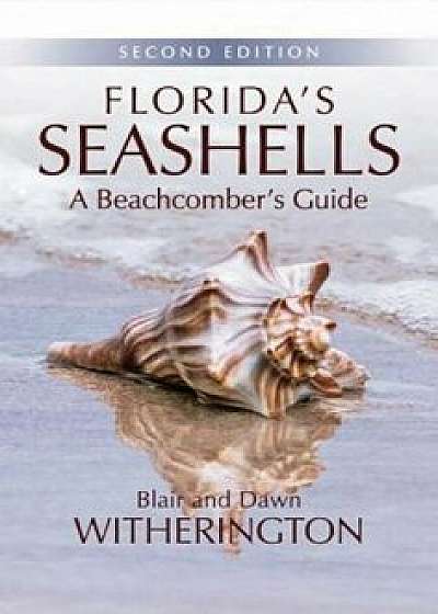 Florida's Seashells: A Beachcomber's Guide, Paperback/Blair Witherington