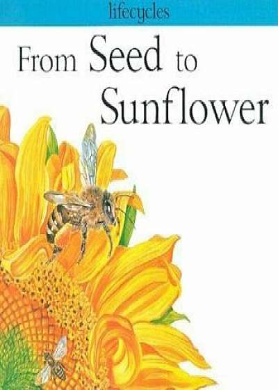 From Seed to Sunflower, Paperback/Gerald Scrace Legg