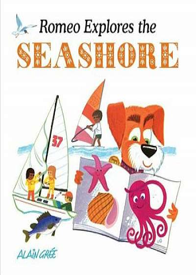 Romeo Explores the Seashore, Hardcover/Alain Gree