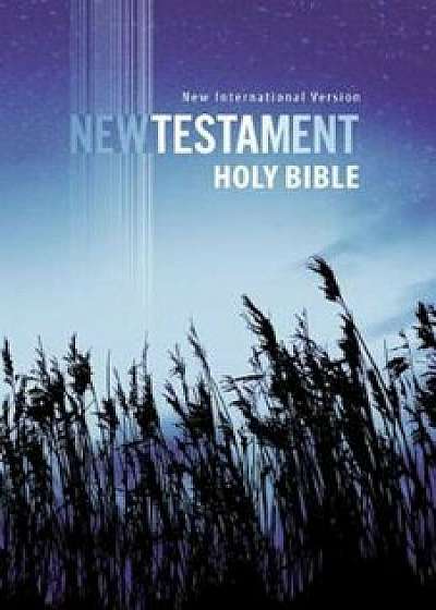 Outreach New Testament-NIV, Paperback/Zondervan