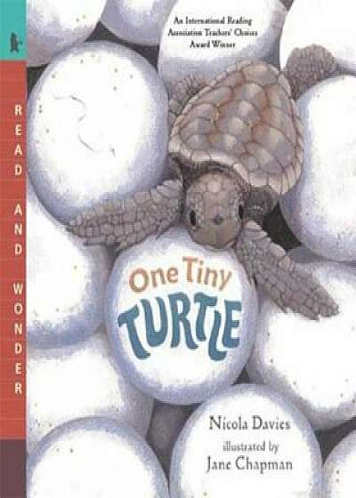 One Tiny Turtle: Read and Wonder, Paperback/Nicola Davies