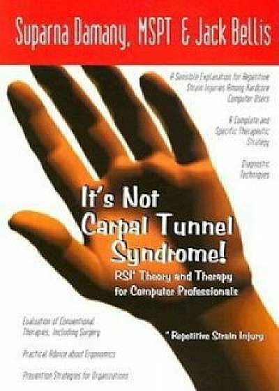 It's Not Carpal Tunnel Syndrome!: RSI Theory and Therapy for Computer Professionals, Paperback/Suparna Damany
