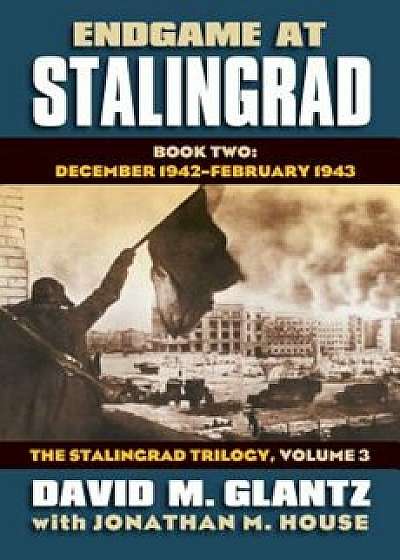 Endgame at Stalingrad, Book Two: December 1942-February 1943, Hardcover/David M. Glantz