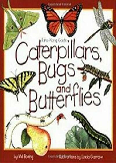 Caterpillars, Bugs and Butterflies: Take-Along Guide, Paperback/Mel Boring