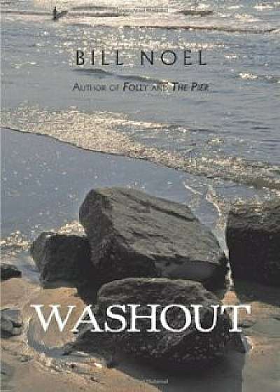 Washout: A Folly Beach Mystery, Paperback/Bill Noel