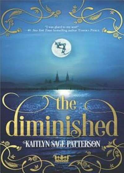 The Diminished, Hardcover/Kaitlyn Sage Patterson