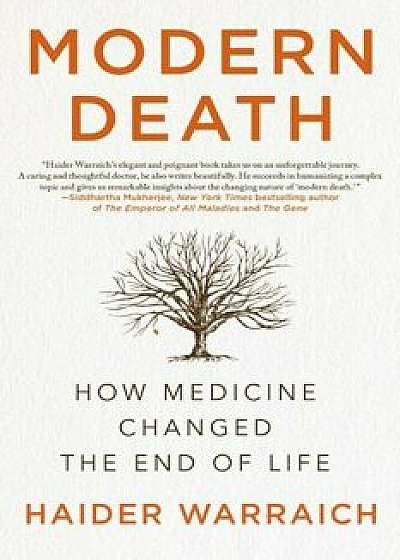 Modern Death: How Medicine Changed the End of Life, Paperback/Haider Warraich