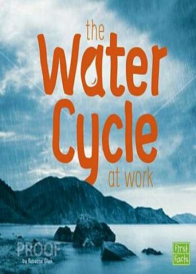 The Water Cycle at Work, Paperback/Rebecca Olien