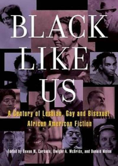 Black Like Us: A Century of Lesbian, Gay, and Bisexual African American Fiction, Paperback/Devon W. Carbado