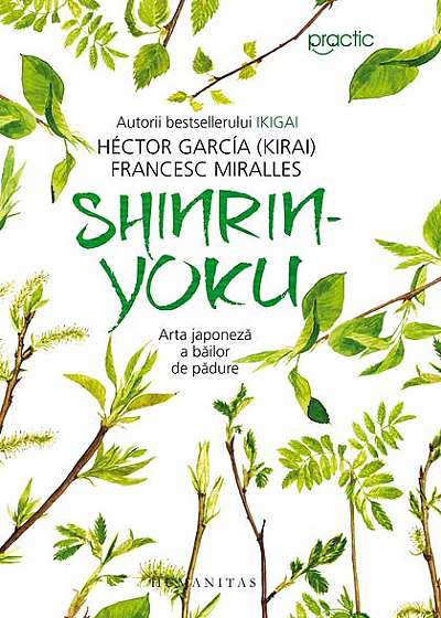 Shinrin-yoku. Arta japoneză a băilor de pădure