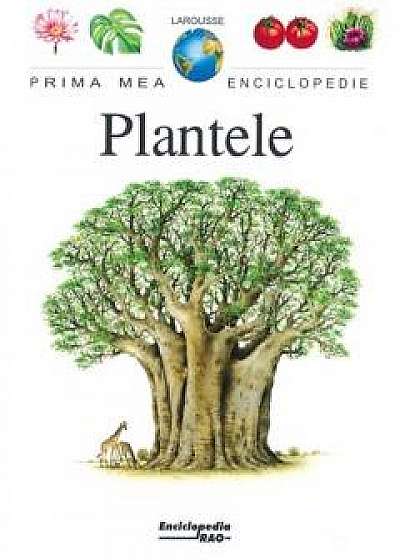 Prima Mea Enciclopedie - Plantele
