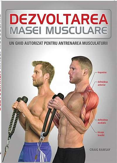 Dezvoltarea masei musculare