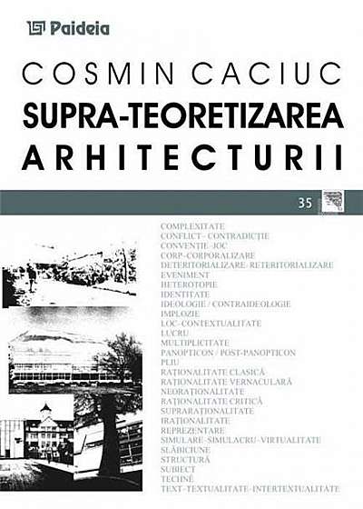 Supra - Teoretizarea Arhitecturii