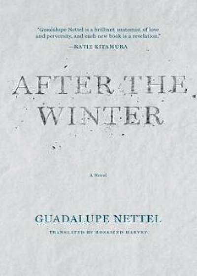 After the Winter, Paperback/Guadalupe Nettel
