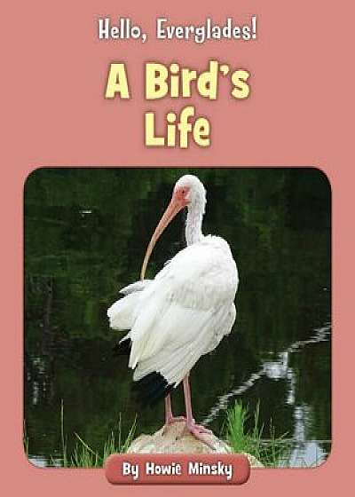 A Bird's Life/Howie Minsky
