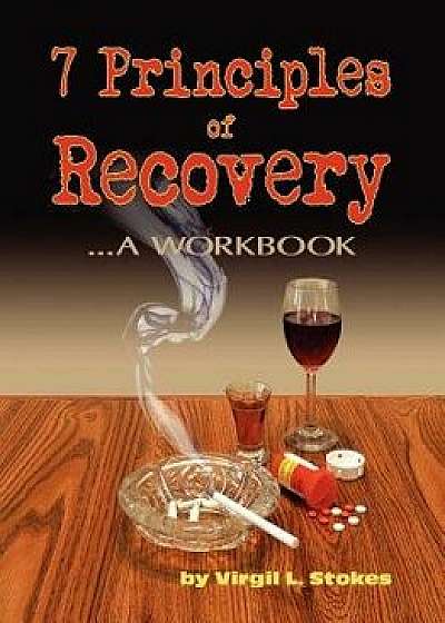 7 Principles of Recovery/Virgil L. Stokes