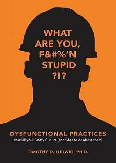 Dysfunctional Practices: That Kill Your Safety Culture (and What to Do about Them), Paperback/Timothy D. Ludwig Ph. D.