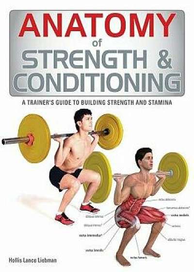 Anatomy of Strength & Conditioning, Paperback/Hollis Liebman