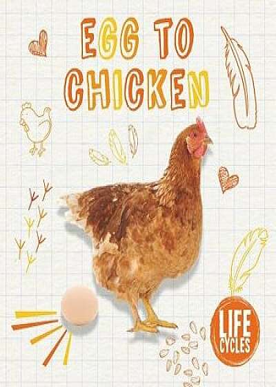 Egg to Chicken, Paperback/Holly Duhig