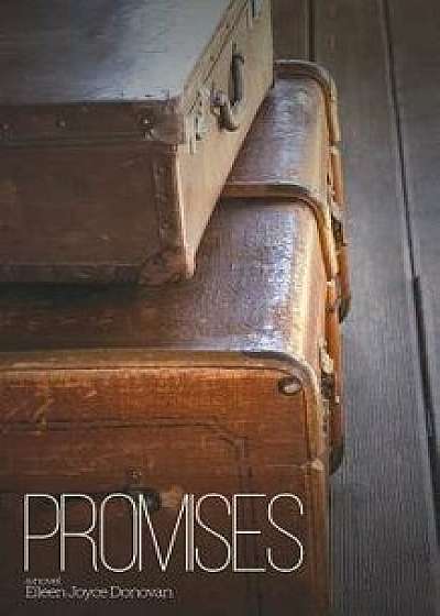 Promises: Not All Victims of War Lie on the Battlefield, Paperback/Eileen Donovan
