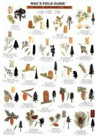 Coperta cărții Northwest Trees, Paperback/Craig MacGowan