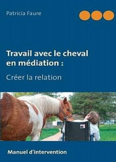 Travail Avec Le Cheval En Médiation, Paperback/Patricia Faure