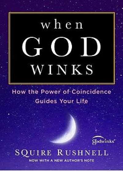 When God Winks: How the Power of Coincidence Guides Your Life, Paperback/Squire Rushnell