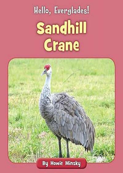 Sandhill Crane, Paperback/Howie Minsky