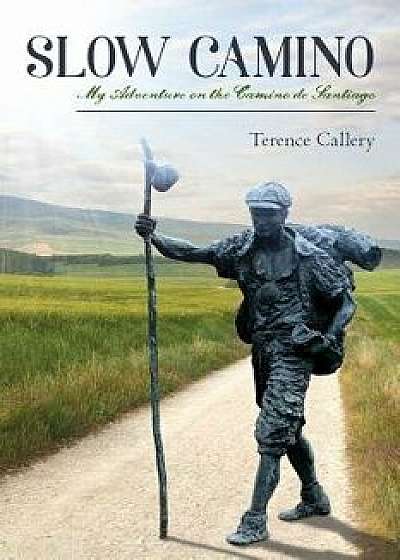 Slow Camino: My Adventure on the Camino de Santiago, Paperback/Terence Callery