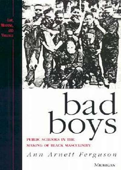 Bad Boys: Public Schools in the Making of Black Masculinity, Paperback/Ann Arnett Ferguson