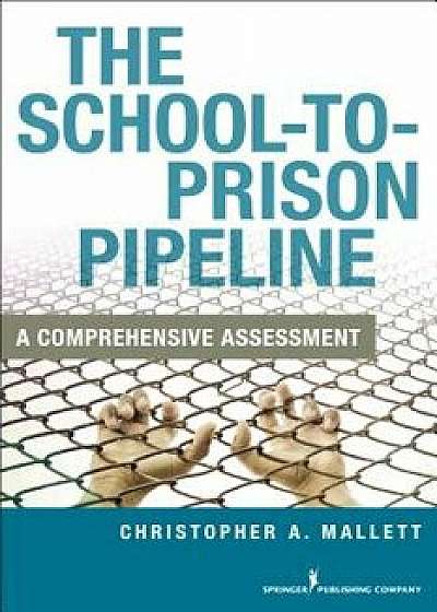 The School-To-Prison Pipeline: A Comprehensive Assessement, Paperback/Christopher A. Mallett