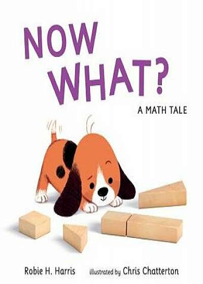 Now What? a Math Tale, Hardcover/Robie H. Harris