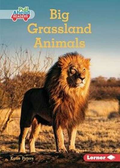 Big Grassland Animals, Paperback/Katie Peters
