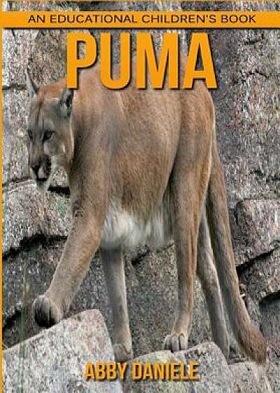 Puma! an Educational Children's Book about Puma with Fun Facts & Photos, Paperback/Abby Daniele