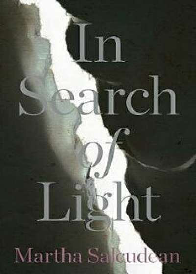 In Search of Light, Paperback/Martha Salcudean