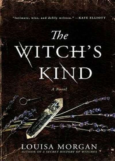 The Witch's Kind, Hardcover/Louisa Morgan