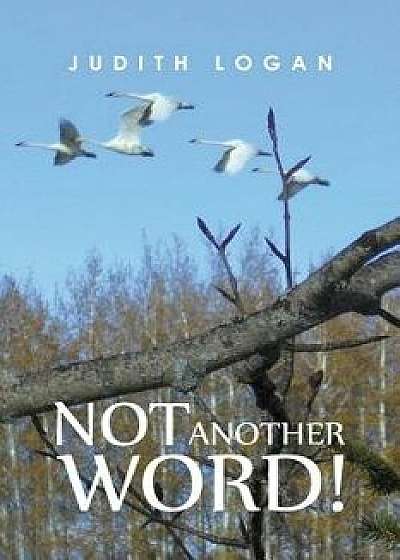 Not Another Word!, Paperback/Judith Logan