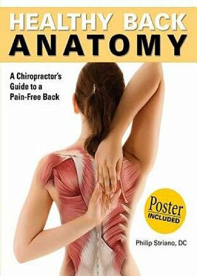 Healthy Back Anatomy, Paperback/Philip Striano