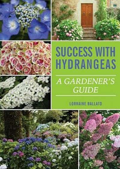 Success with Hydrangeas: A Gardener's Guide, Paperback/Lorraine Ballato