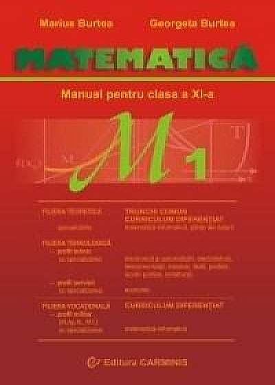 Matematica-manual cls XI-a M1