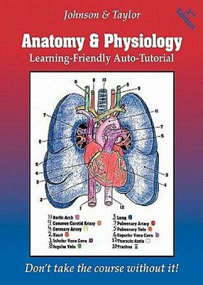 Anatomy & Physiology Learning-Friendly Auto-Tutorial, Paperback/Gene Johnson